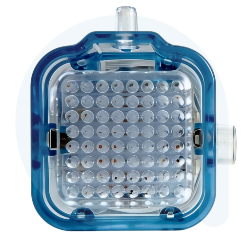 Dualis Pro 64 piny.png