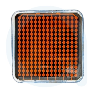 Kartridż 40x40 nano igły Rf nanofrakcyjny Aure© Dualis Pro 