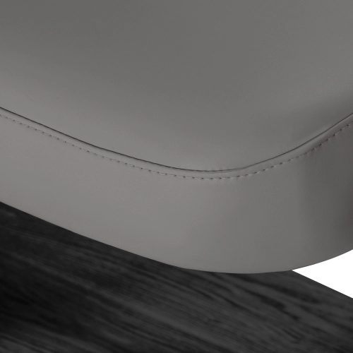 SILLON-10 14013 